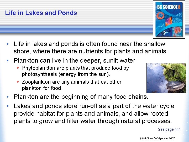 Life in Lakes and Ponds • Life in lakes and ponds is often found