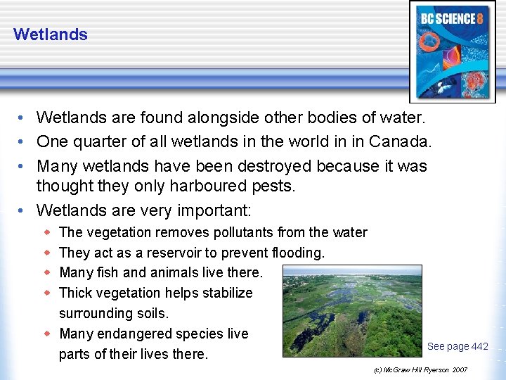 Wetlands • Wetlands are found alongside other bodies of water. • One quarter of