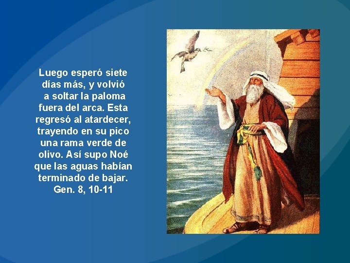 Luego esperó siete días más, y volvió a soltar la paloma fuera del arca.