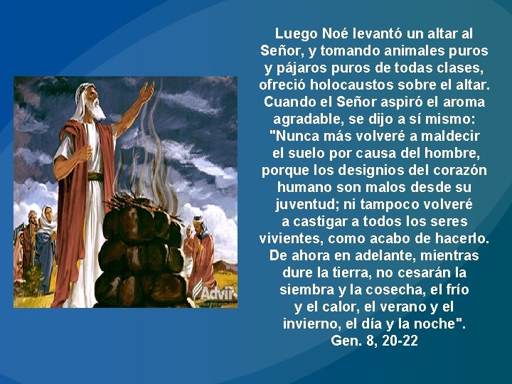 Luego Noé levantó un altar al Señor, y tomando animales puros y pájaros puros