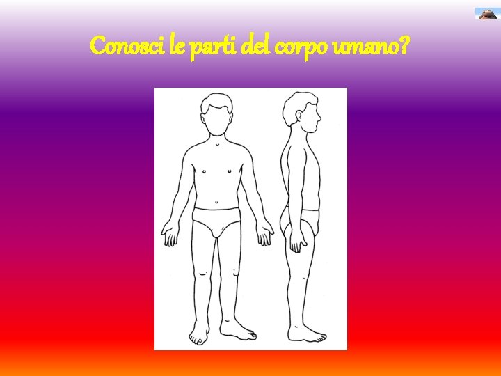 Conosci le parti del corpo umano? 
