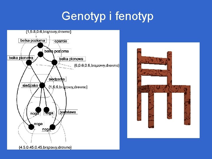 Genotyp i fenotyp 