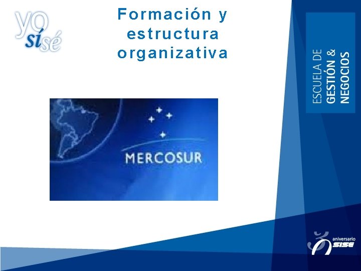 Formación y estructura organizativa 