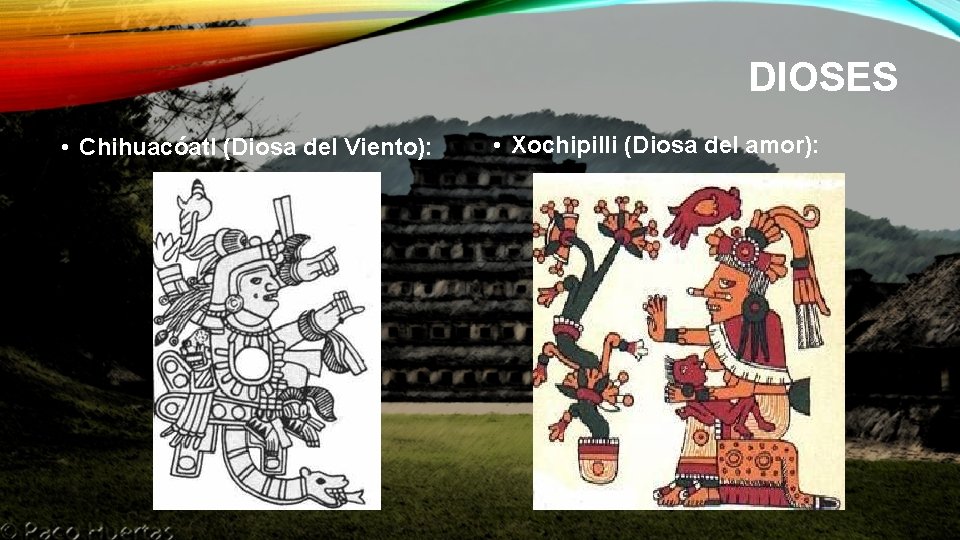 DIOSES • Chihuacóatl (Diosa del Viento): • Xochipilli (Diosa del amor): 