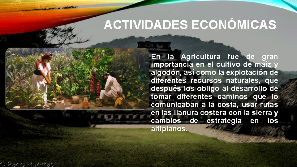 ACTIVIDADES ECONÓMICAS En la Agricultura fue de gran importancia en el cultivo de maíz