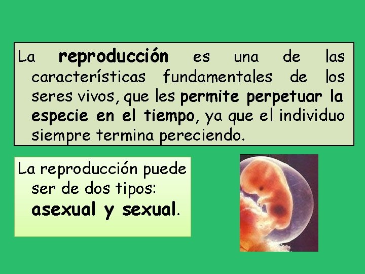 La reproducción es una de las características fundamentales de los seres vivos, que les