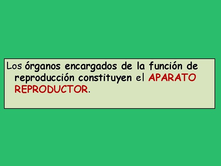 Los órganos encargados de la función de reproducción constituyen el APARATO REPRODUCTOR. 