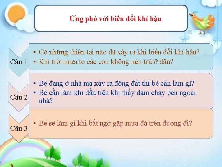 Ứng phó với biến đổi khí hậu • Có những thiên tai nào đã