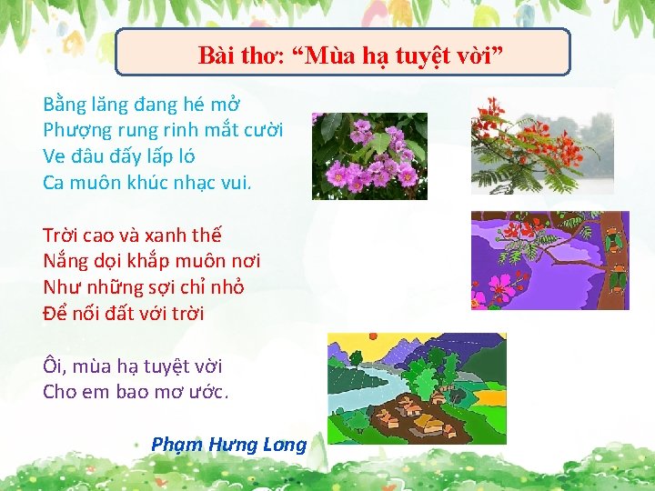 Bài thơ: “Mùa hạ tuyệt vời” Bằng lăng đang hé mở Phượng rung rinh