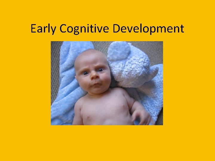 Early Cognitive Development 