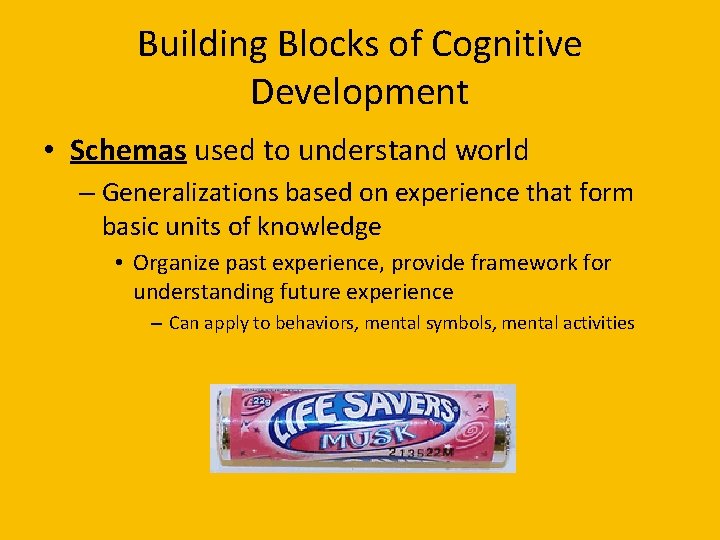 Building Blocks of Cognitive Development • Schemas used to understand world – Generalizations based