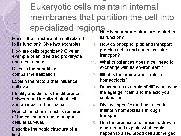 Eukaryotic cells maintain internal membranes that partition the cell into specialized regions 9. How Eukaryotic cells maintain internal membranes that partition the cell into specialized regions 9. How
