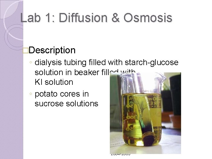 Lab 1: Diffusion & Osmosis �Description ◦ dialysis tubing filled with starch-glucose solution in Lab 1: Diffusion & Osmosis �Description ◦ dialysis tubing filled with starch-glucose solution in
