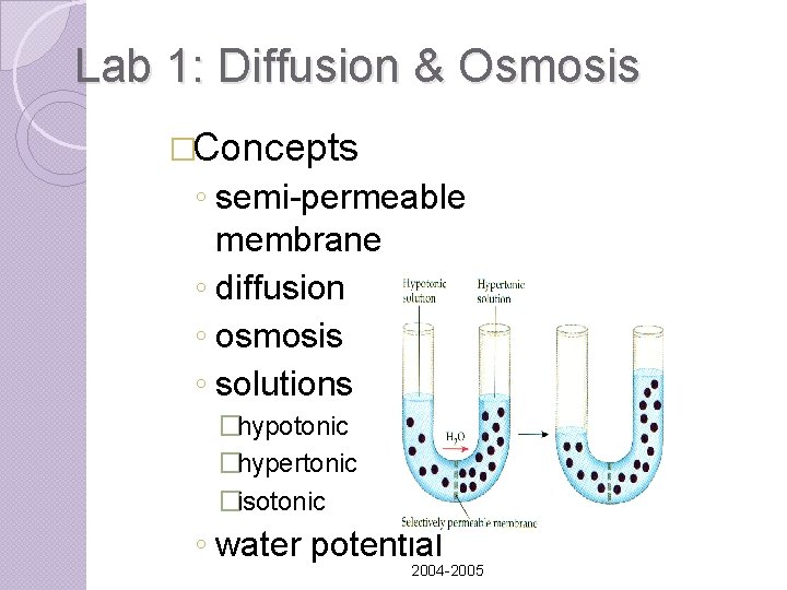Lab 1: Diffusion & Osmosis �Concepts ◦ semi-permeable membrane ◦ diffusion ◦ osmosis ◦ Lab 1: Diffusion & Osmosis �Concepts ◦ semi-permeable membrane ◦ diffusion ◦ osmosis ◦