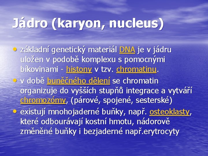 Jádro (karyon, nucleus) • základní genetický materiál DNA je v jádru • • uložen