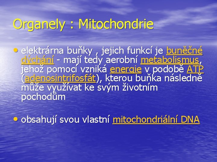 Organely : Mitochondrie • elektrárna buňky , jejich funkcí je buněčné dýchání - mají