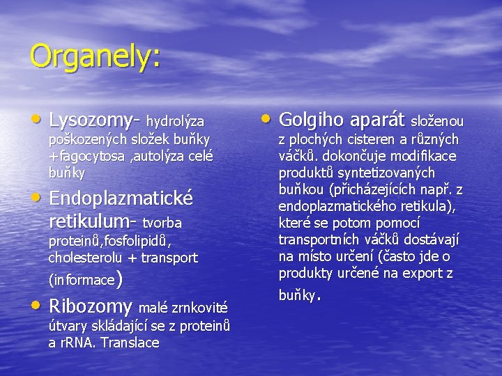 Organely: • Lysozomy- hydrolýza poškozených složek buňky +fagocytosa , autolýza celé buňky • Endoplazmatické