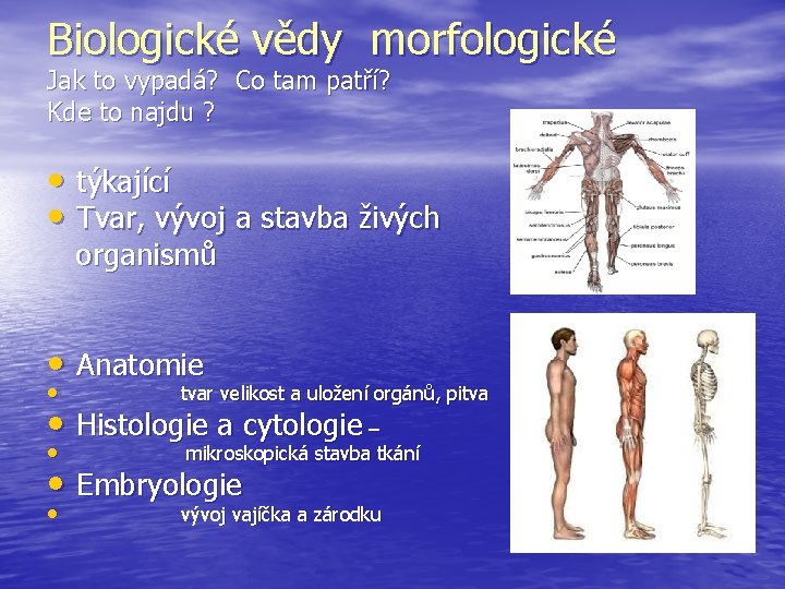 Biologické vědy morfologické Jak to vypadá? Co tam patří? Kde to najdu ? •