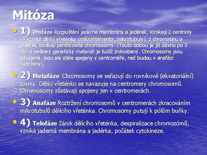 Mitóza • 1) Profáze Rozpuštění jaderné membrány a jadérek, vznikají 2 centrioly -> vzniká