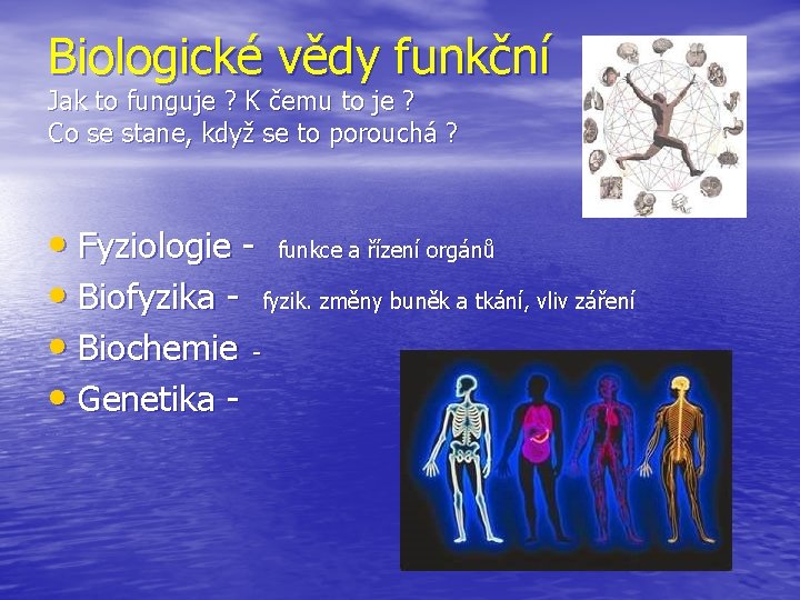 Biologické vědy funkční Jak to funguje ? K čemu to je ? Co se