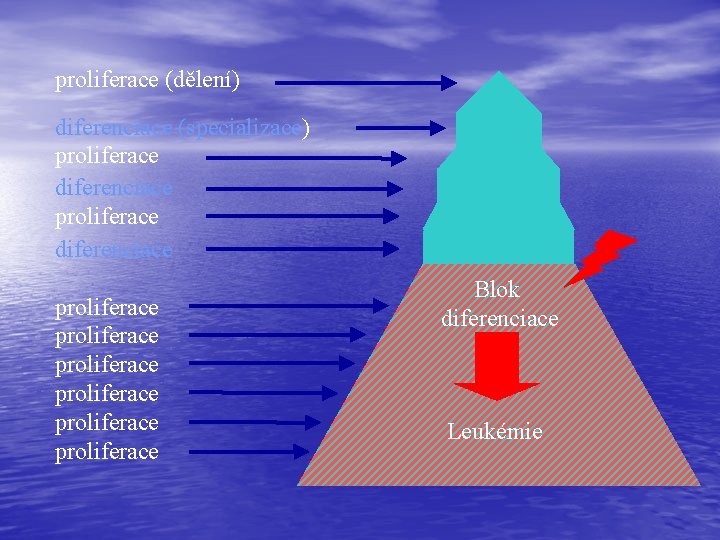 proliferace (dělení) diferenciace (specializace) proliferace diferenciace proliferace proliferace Blok diferenciace Leukémie 