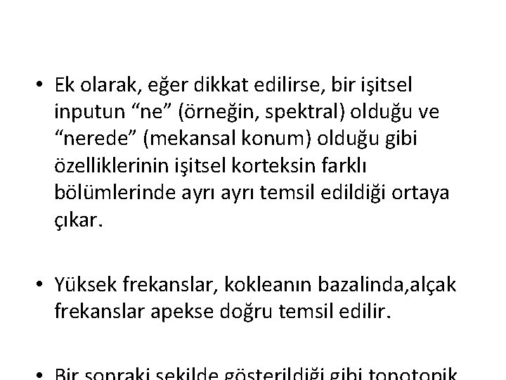  • Ek olarak, eğer dikkat edilirse, bir işitsel inputun “ne” (örneğin, spektral) olduğu