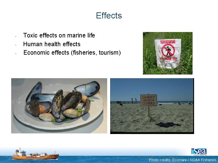 Effects - Toxic effects on marine life Human health effects Economic effects (fisheries, tourism)