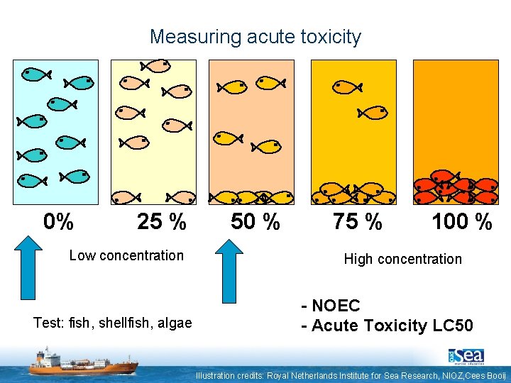 Measuring acute toxicity 0% 25 % Low concentration Test: fish, shellfish, algae 50 %