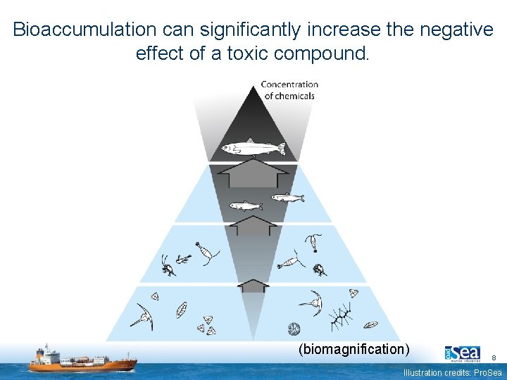 Bioaccumulation can significantly increase the negative effect of a toxic compound. (biomagnification) 8 Illustration