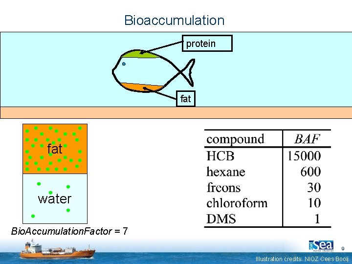 Bioaccumulation protein fat water Bio. Accumulation. Factor = 7 9 Illustration credits: NIOZ Cees