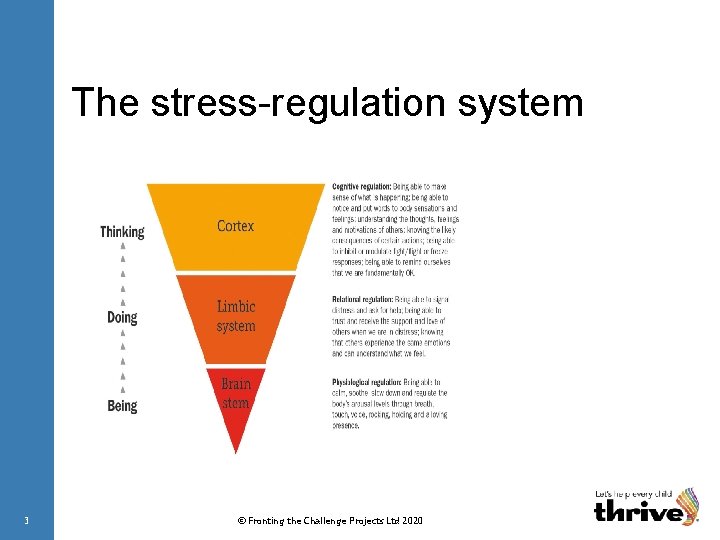 The stress-regulation system 3 © Fronting the Challenge Projects Ltd 2020 