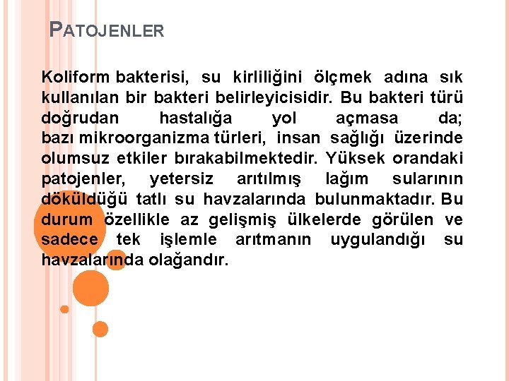 PATOJENLER Koliform bakterisi, su kirliliğini ölçmek adına sık kullanılan bir bakteri belirleyicisidir. Bu bakteri PATOJENLER Koliform bakterisi, su kirliliğini ölçmek adına sık kullanılan bir bakteri belirleyicisidir. Bu bakteri