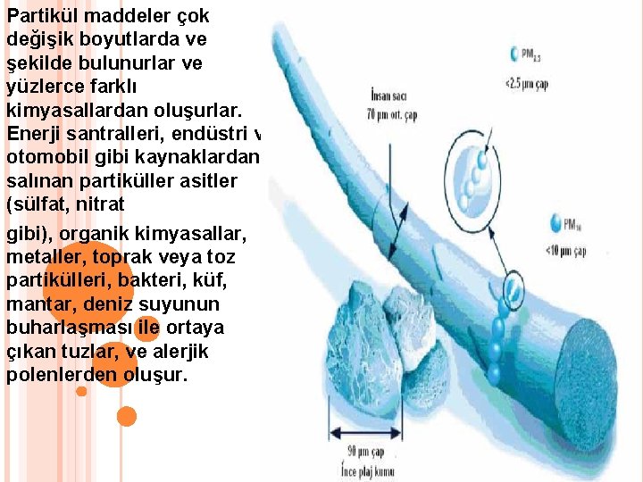 Partikül maddeler çok değişik boyutlarda ve şekilde bulunurlar ve yüzlerce farklı kimyasallardan oluşurlar. Enerji