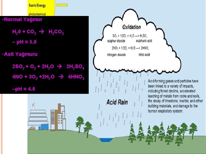  • Normal Yağmur H 20 + CO 2 H 2 CO 3 –