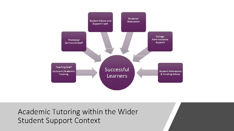 Student Advice and Support Team Students' Association College Administrative Support Promoted Curriculum Staff Teaching