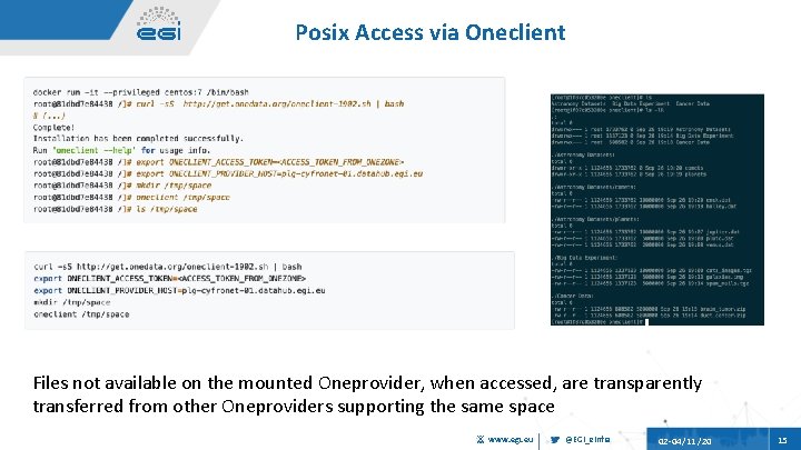 Posix Access via Oneclient Files not available on the mounted Oneprovider, when accessed, are