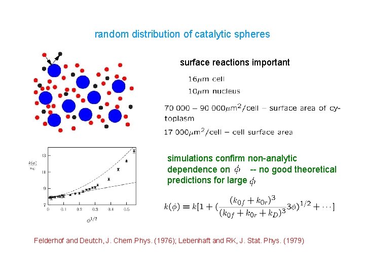 random distribution of catalytic spheres surface reactions important simulations confirm non-analytic dependence on --
