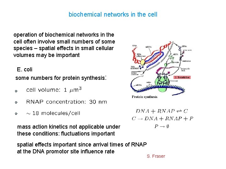 biochemical networks in the cell operation of biochemical networks in the cell often involve