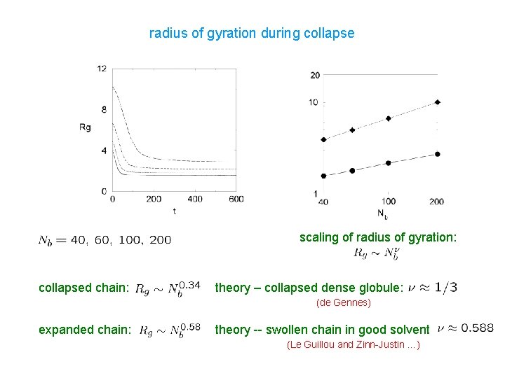 radius of gyration during collapse scaling of radius of gyration: collapsed chain: theory –