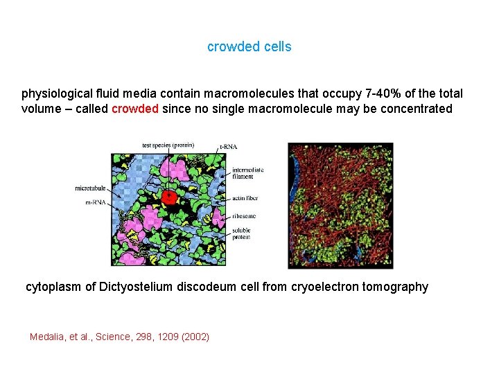 crowded cells physiological fluid media contain macromolecules that occupy 7 -40% of the total