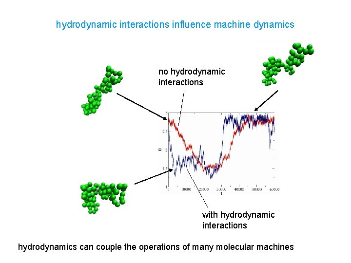 hydrodynamic interactions influence machine dynamics no hydrodynamic interactions with hydrodynamic interactions hydrodynamics can couple