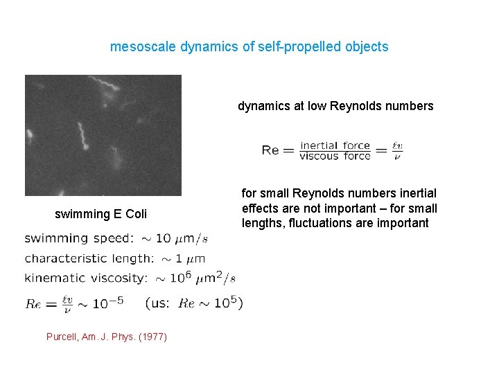 mesoscale dynamics of self-propelled objects dynamics at low Reynolds numbers swimming E Coli Purcell,