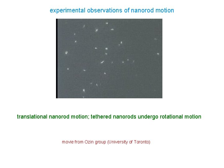 experimental observations of nanorod motion translational nanorod motion; tethered nanorods undergo rotational motion movie