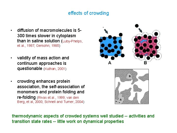 effects of crowding • diffusion of macromolecules is 5300 times slower in cytoplasm than