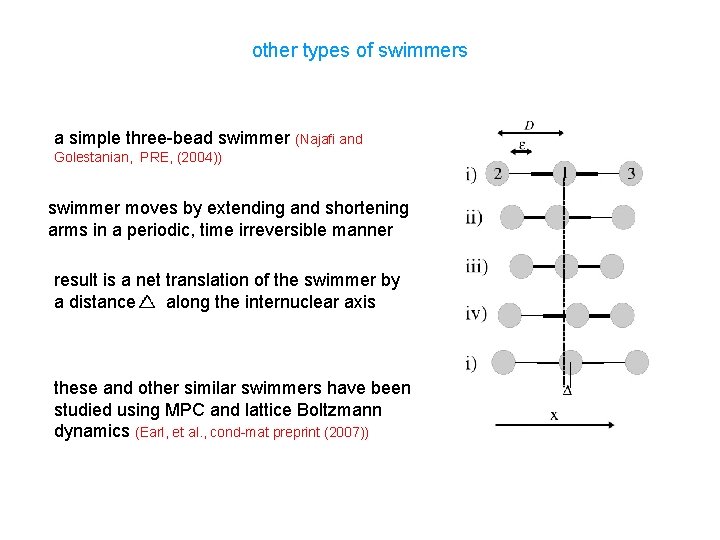 other types of swimmers a simple three-bead swimmer (Najafi and Golestanian, PRE, (2004)) swimmer