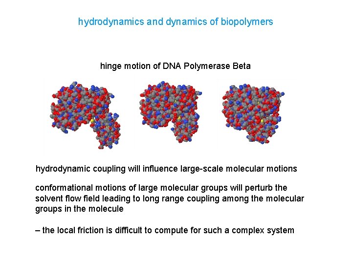 hydrodynamics and dynamics of biopolymers hinge motion of DNA Polymerase Beta hydrodynamic coupling will