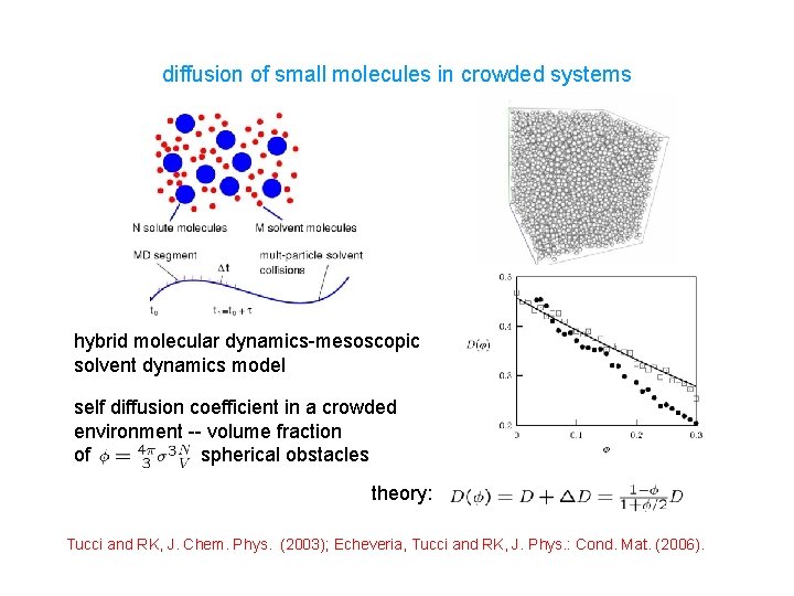 diffusion of small molecules in crowded systems hybrid molecular dynamics-mesoscopic solvent dynamics model self