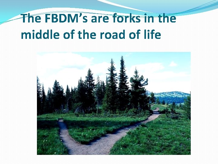 The FBDM’s are forks in the middle of the road of life 