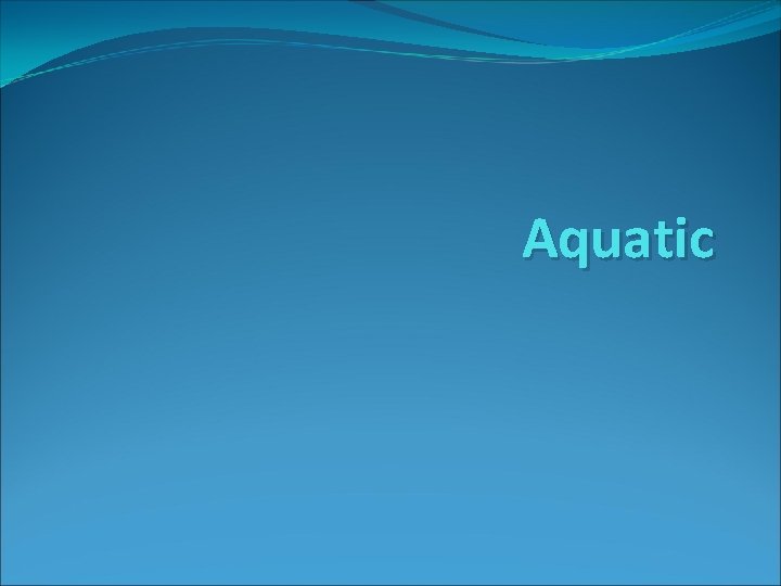 Aquatic 