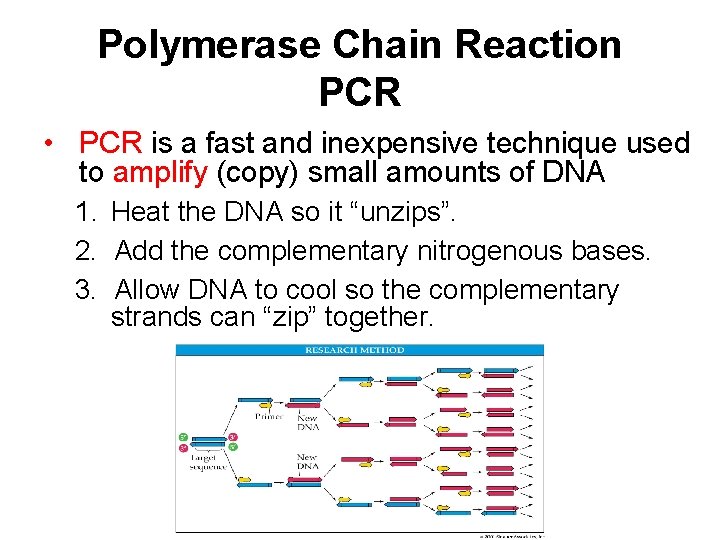 Polymerase Chain Reaction PCR • PCR is a fast and inexpensive technique used to